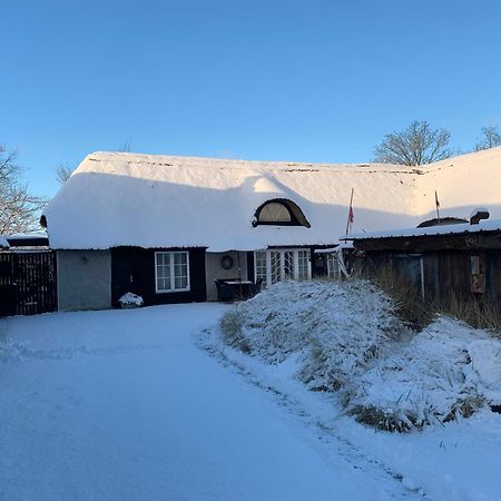 Farm61 Badehotellet I Det Midtjydske - Alder +18 Ar Tjele Zewnętrze zdjęcie