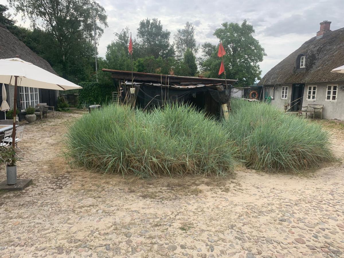 Farm61 Badehotellet I Det Midtjydske - Alder +18 Ar Tjele Zewnętrze zdjęcie