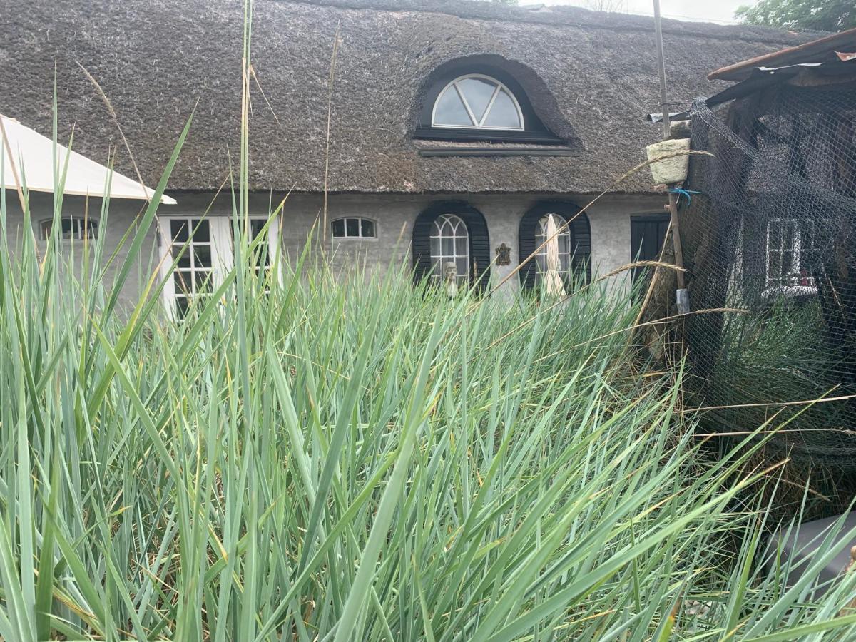 Farm61 Badehotellet I Det Midtjydske - Alder +18 Ar Tjele Zewnętrze zdjęcie