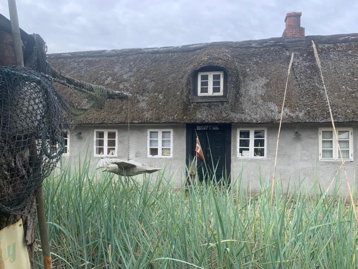 Farm61 Badehotellet I Det Midtjydske - Alder +18 Ar Tjele Zewnętrze zdjęcie